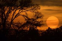 College Station sunset